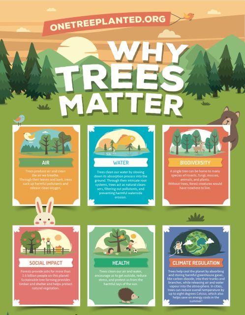 a poster with the words why trees matter