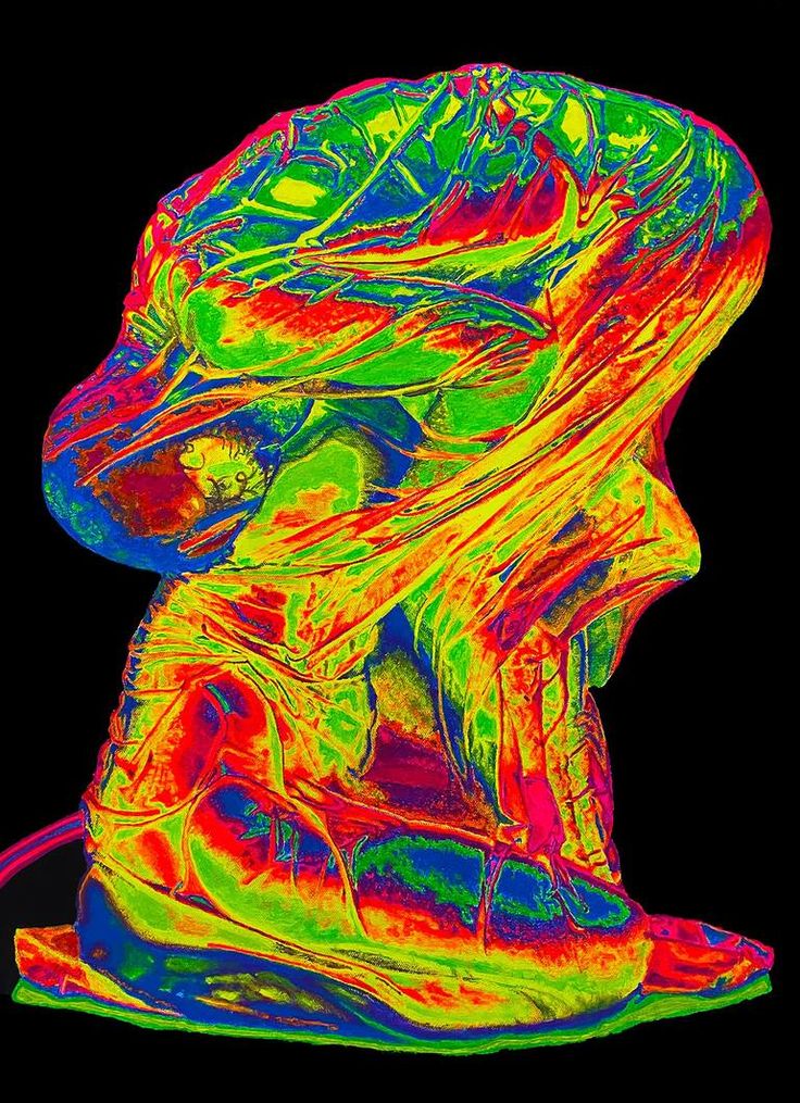 an abstract image of a human head with multiple colors