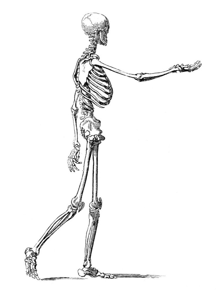 a drawing of a skeleton pointing at something in the air with its arm extended out