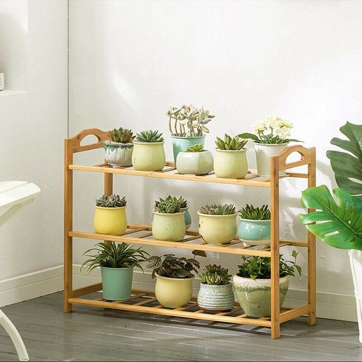 there are many potted plants on the shelf