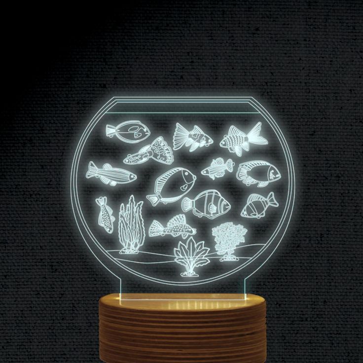 an illuminated fish bowl on top of a wooden stand with the light turned on to show different types of fish