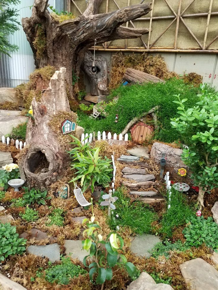 a fairy garden with rocks and plants