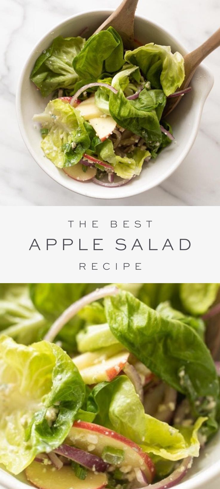 the best apple salad recipe is made with fresh apples, lettuce and onions