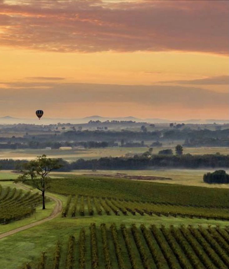 a hot air balloon flying over a lush green field