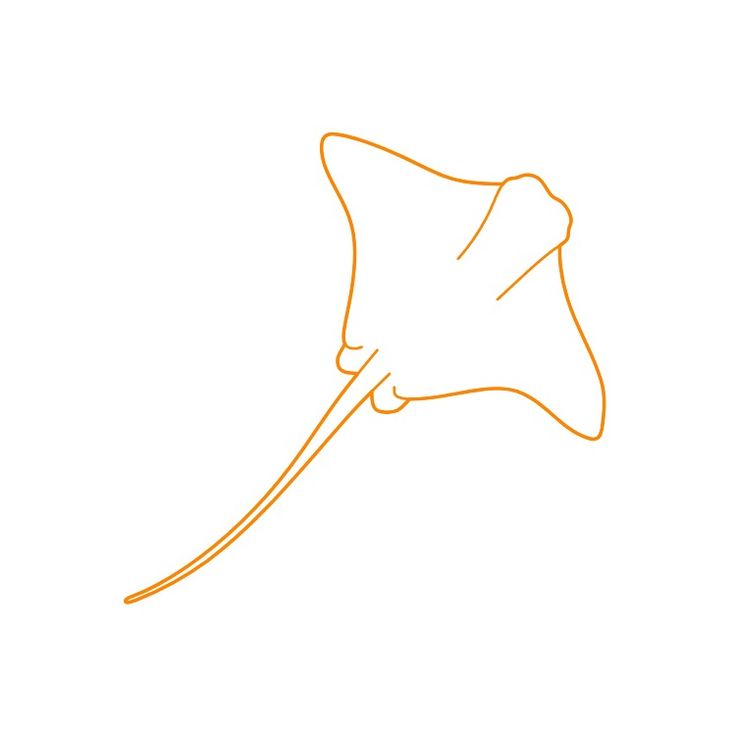 an orange line drawing of a manta ray