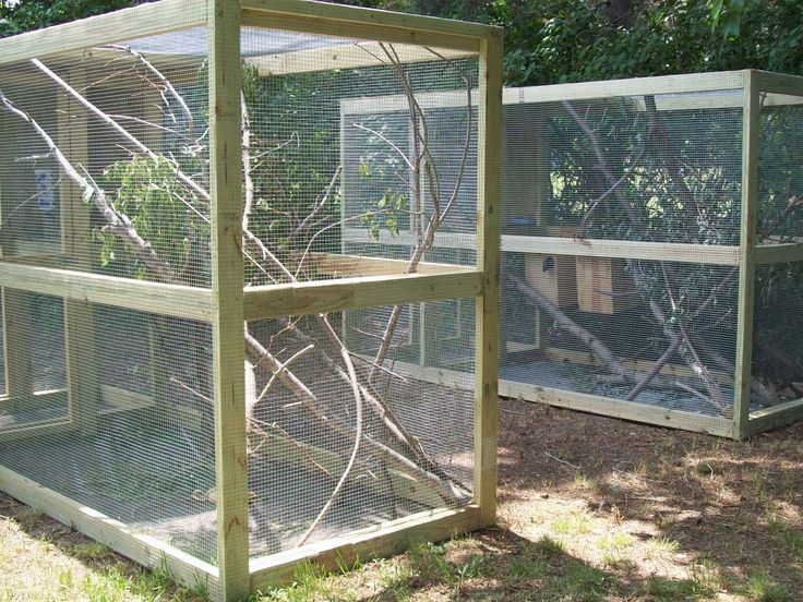 two large cages with trees inside them in the grass and some bushes behind them,