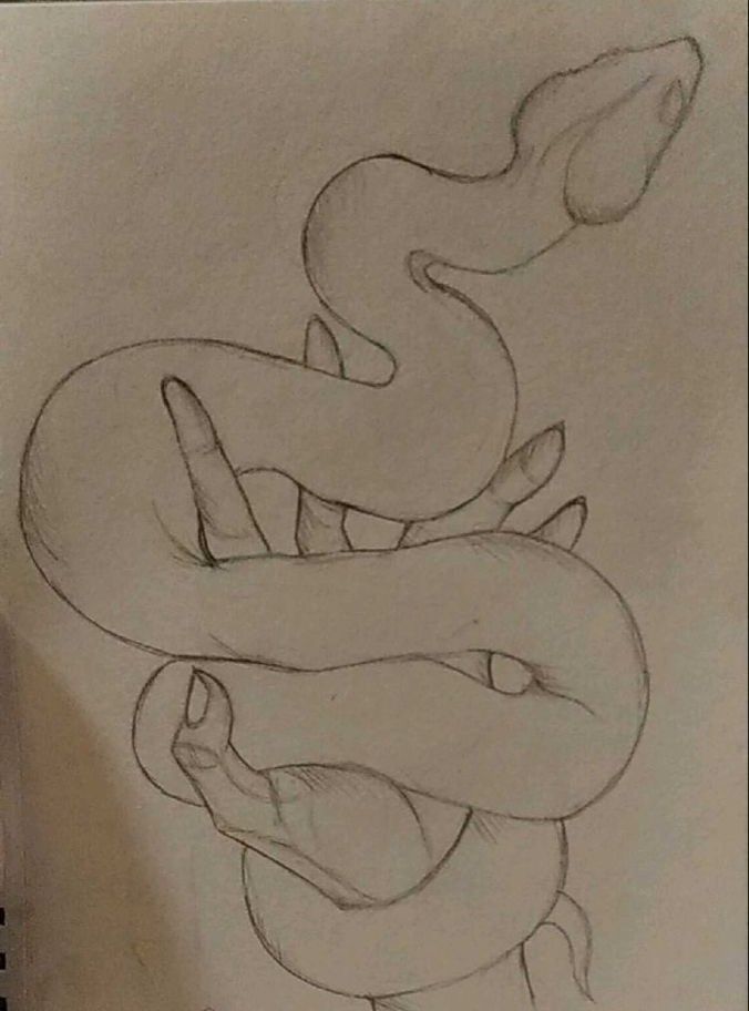 a drawing of a snake with its mouth open