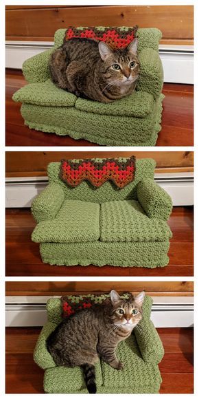 a cat sitting on top of a green couch in front of a door and another photo of the same cat