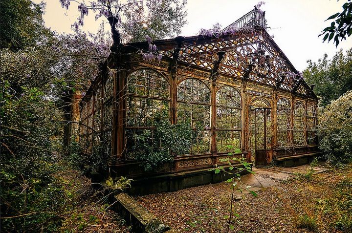 an old building in the middle of some trees and bushes with vines growing on it