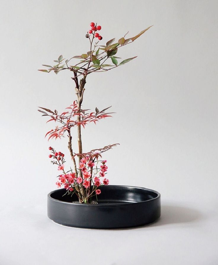 a small plant with red flowers in a black bowl