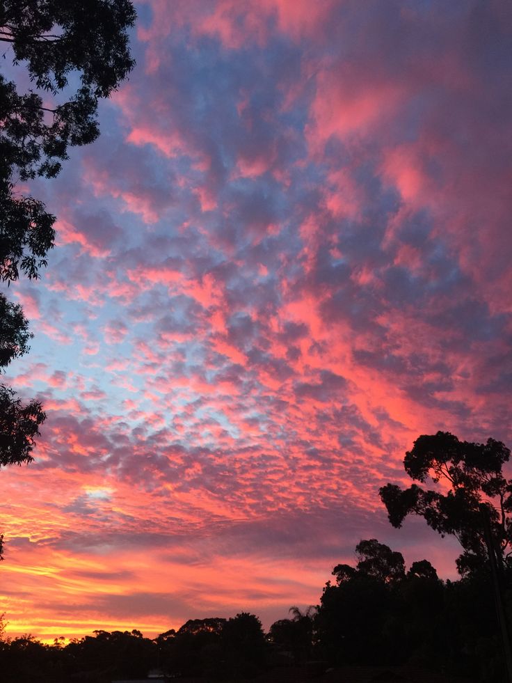 the sky is pink and blue with clouds