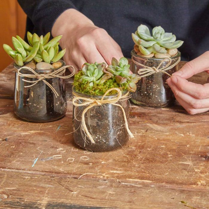 three jars with succulents tied to them on a wooden table next to a person's hands