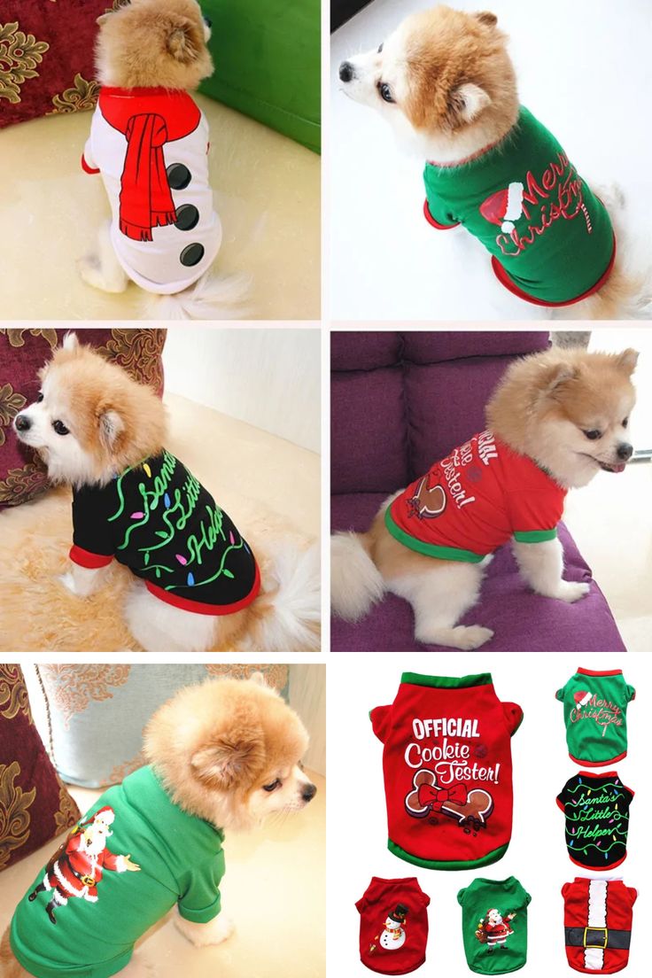 Make this holiday season extra special for your furry friend with our Christmas Dog Shirt! Crafted from high-quality cotton, this shirt combines comfort with festive flair, ensuring your dog stays cozy and stylish throughout the celebrations.🐕🦮🐕‍🦺🎄 Santa's Little Helper, Gifting Ideas, Cozy Christmas, Dog Shirt, Christmas Dog, Christmas Shirts, Holiday Season, Festival, Dogs