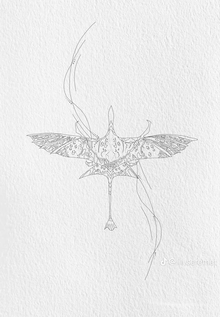 a drawing of a flying insect on white paper