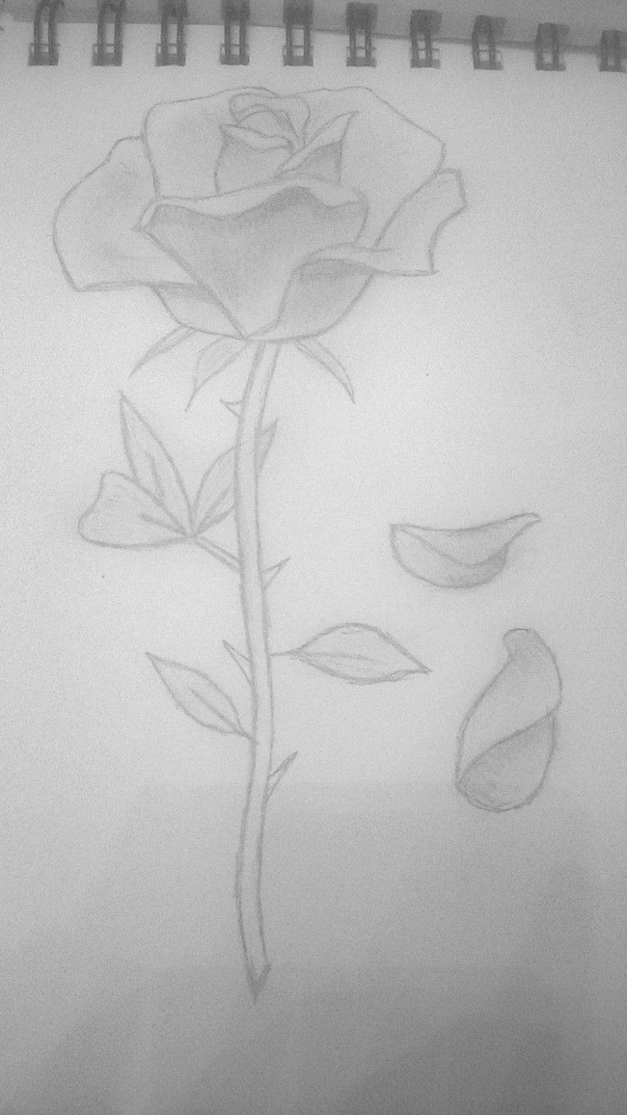 rose petals falling Rose With Petals Falling Drawing, Falling In Love Drawing Sketch, Fallen Rose Petals Tattoo, Doodle Rose Tattoo, Rose Tattoo Petals Falling, How To Draw Rose Petals, Fallen Rose Petals Drawing, Rose Petals Falling Drawing, Falling Rose Petals Tattoo