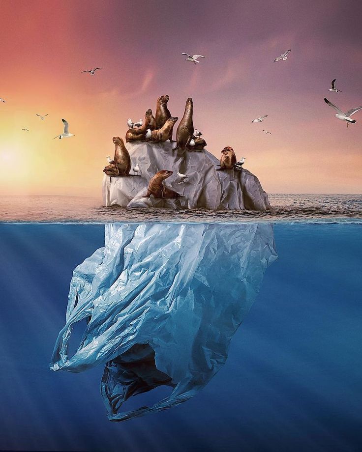 an iceberg floating in the ocean with seagulls sitting on top of it