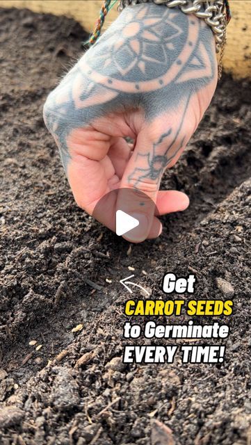 a person with tattoos on their arm is pointing at something in the dirt that says get carrot seeds to germinate every time