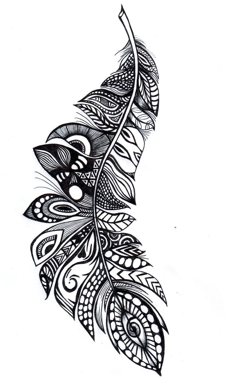 a black and white drawing of a bird's feather with intricate designs on it