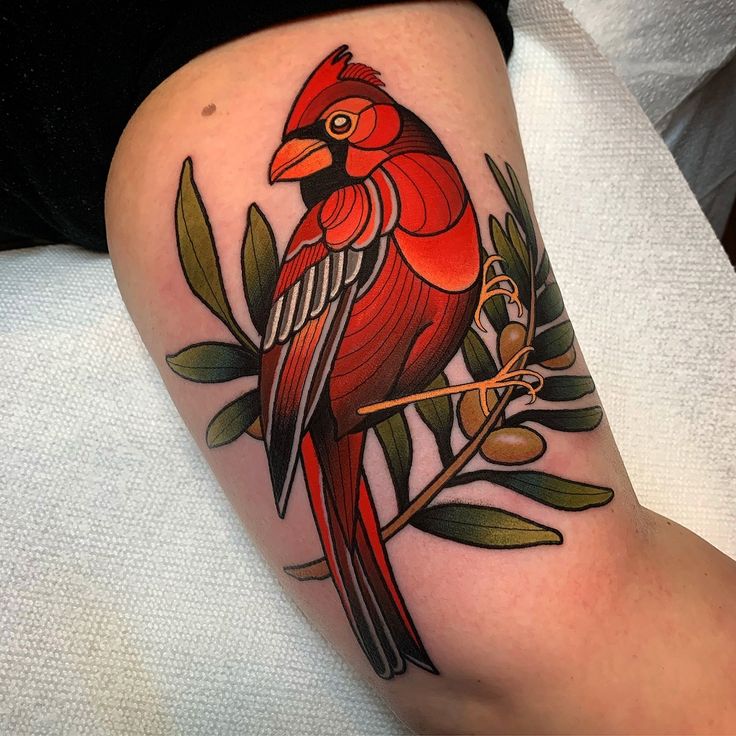 a red bird sitting on top of a tree branch with leaves around it's legs