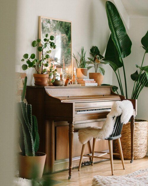 a living room with a piano and potted plants