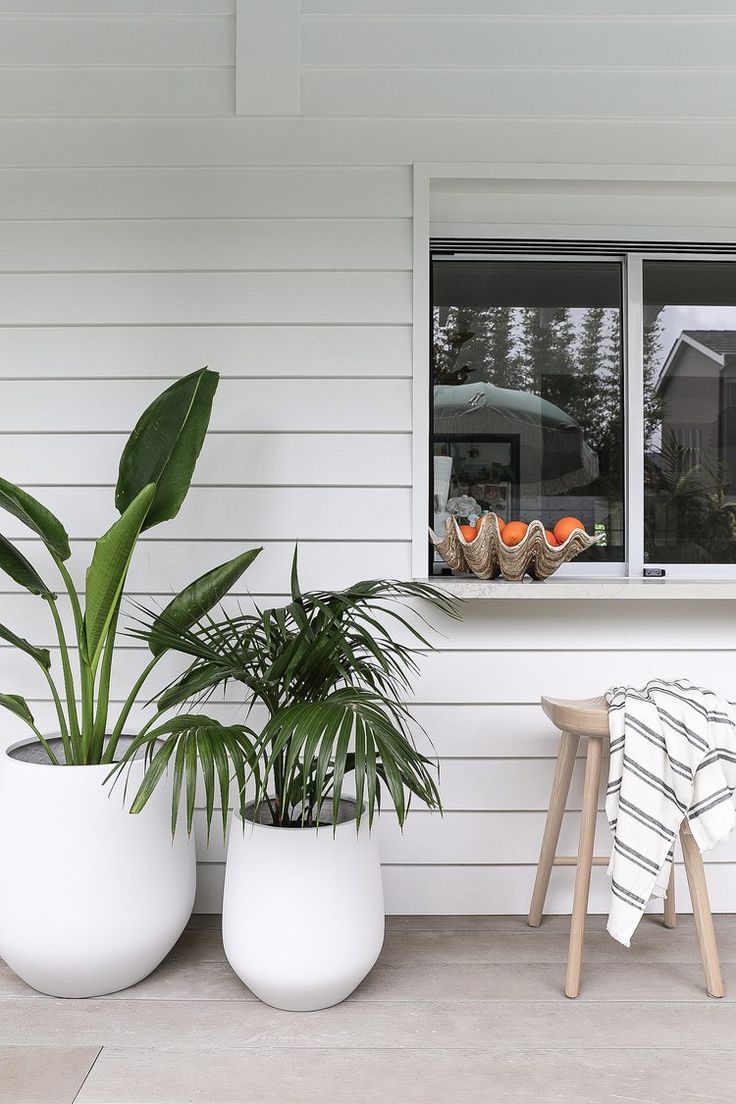 two large potted plants sitting next to each other in front of a white house