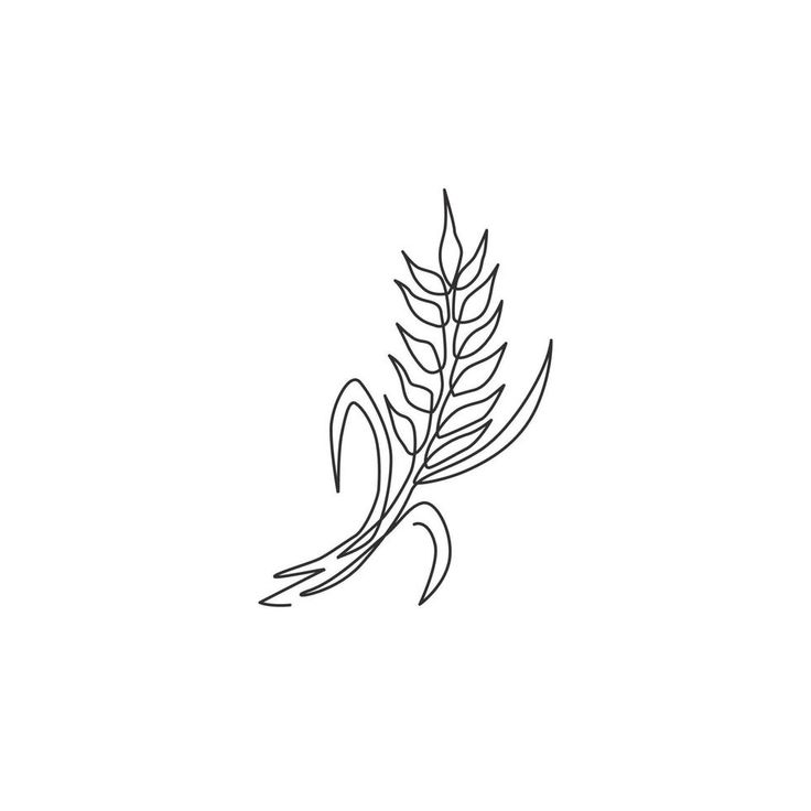 a single line drawing of a leaf