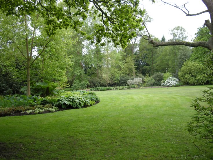 a lush green lawn surrounded by trees and bushes