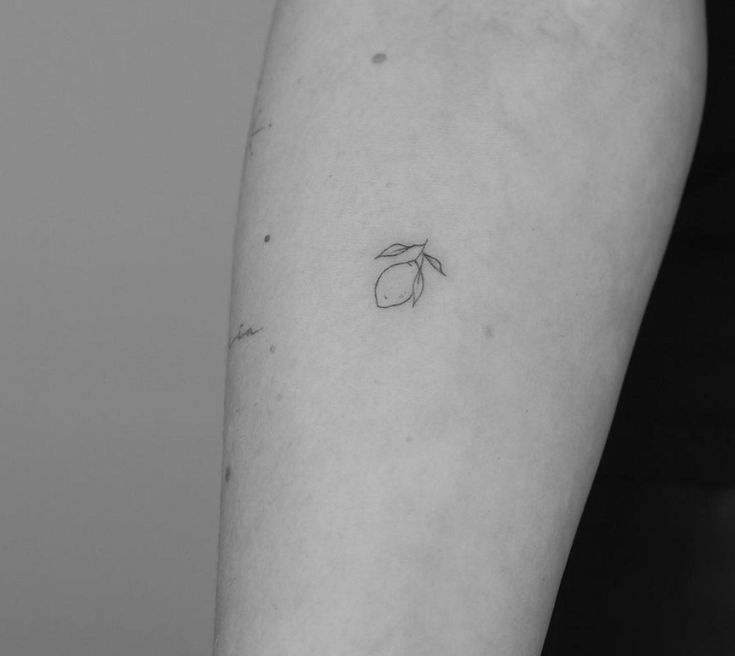 a black and white photo of a small apple tattoo on the left inner arm,