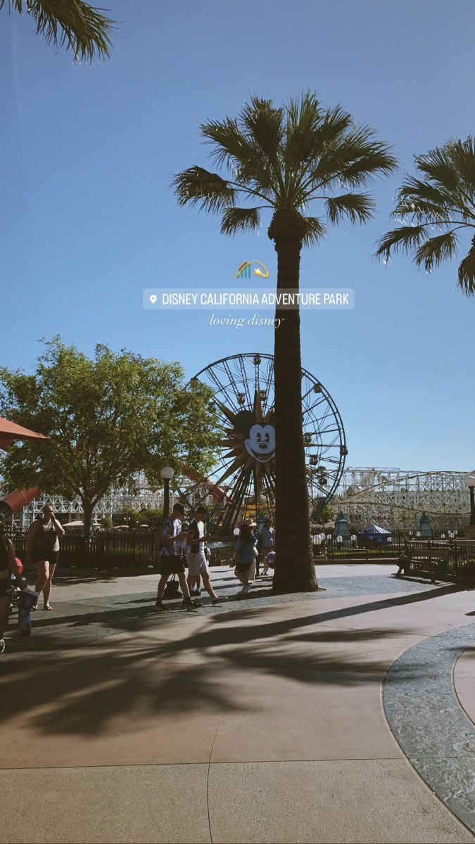 people are walking around in the park with palm trees and roller coasters behind them