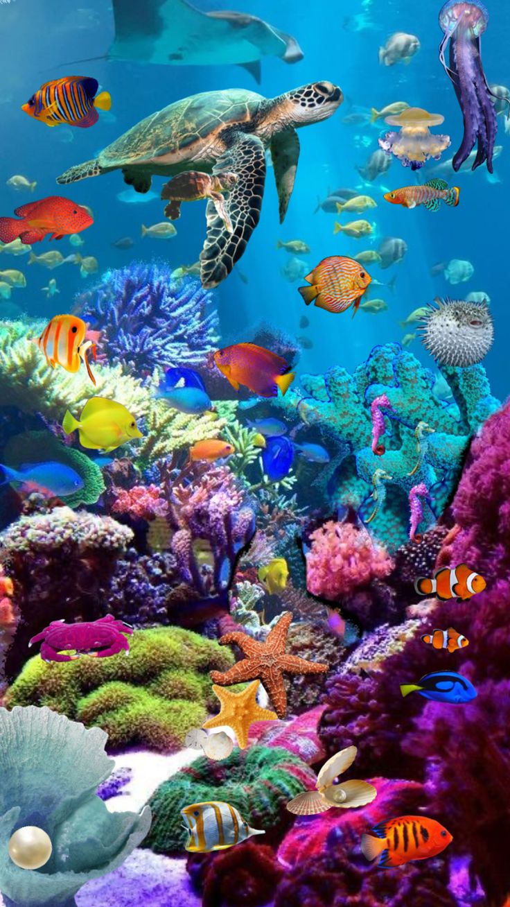 an underwater scene with many different types of fish and sea animals in the water, including turtles