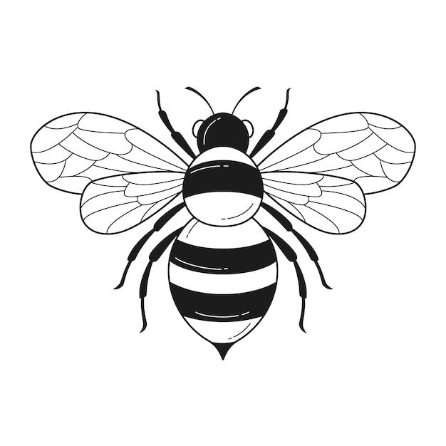 a black and white bee on a white background