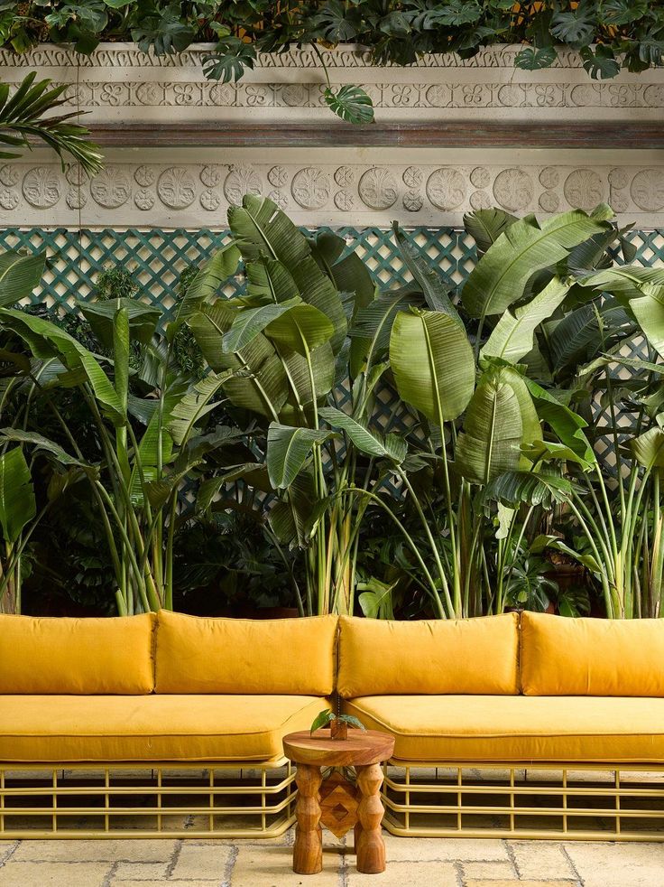 an outdoor seating area with yellow cushions and large green plants on the wall behind it