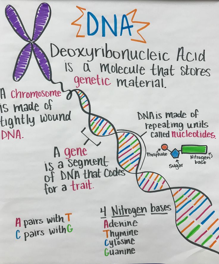 a poster with some words on it and an image of the structure of a gene