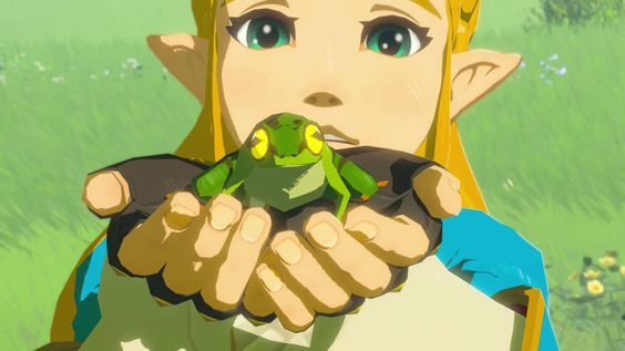 the legend of zelda is holding a frog in her hand and looking at it