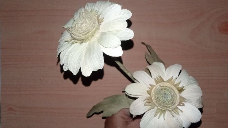 two white flowers in a vase on a table