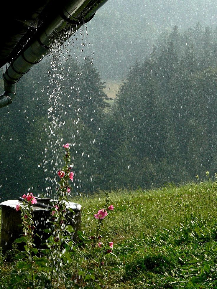 the sprinkles are pouring out of an open umbrella over a green field