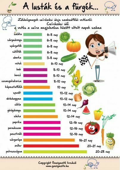 a poster showing the number of fruits and vegetables that are in different languages, with an image of a woman holding a megaphone