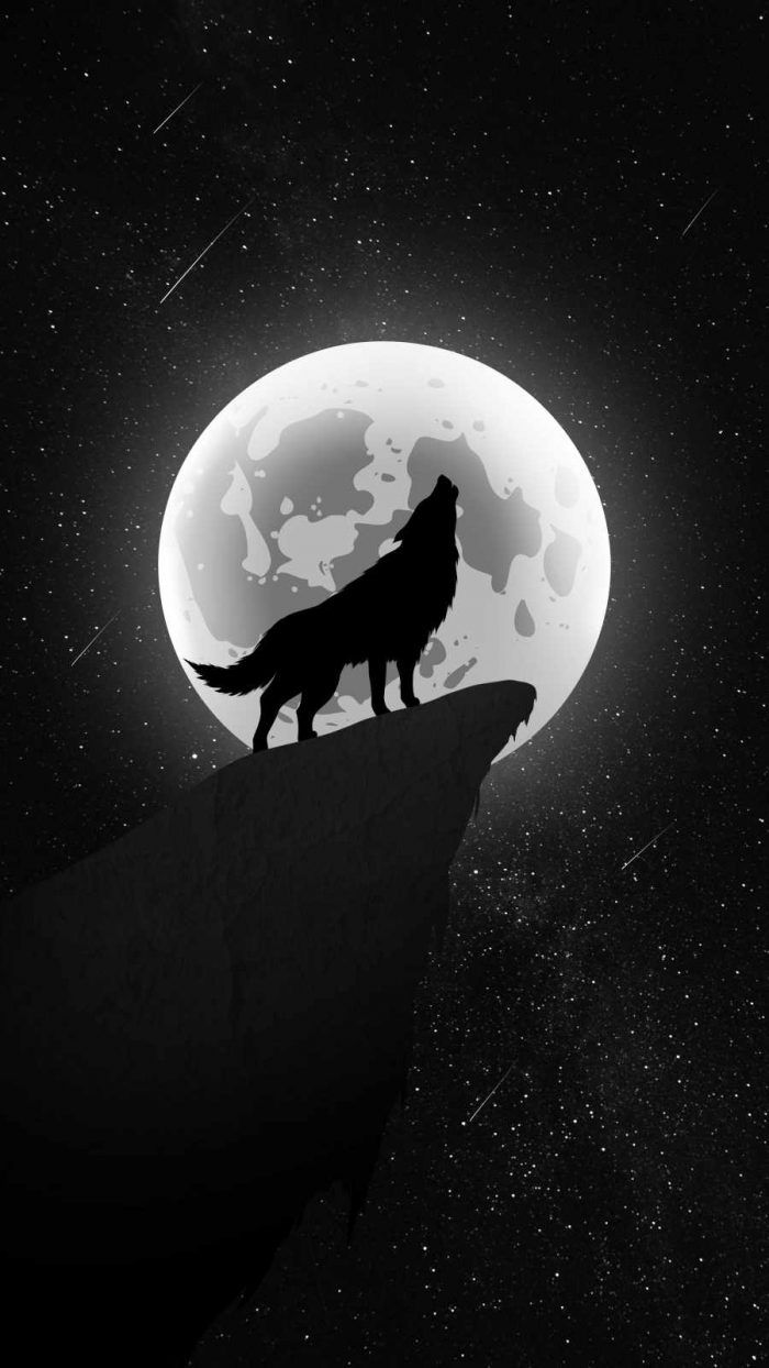 a wolf standing on top of a cliff under a full moon