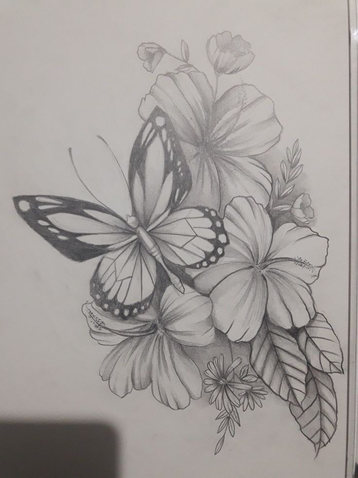 a pencil drawing of flowers and butterflies