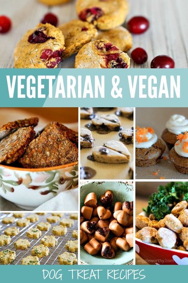 vegetarian and vegan dog treat recipe collage with images of cookies, cranberries, oranges, muffins