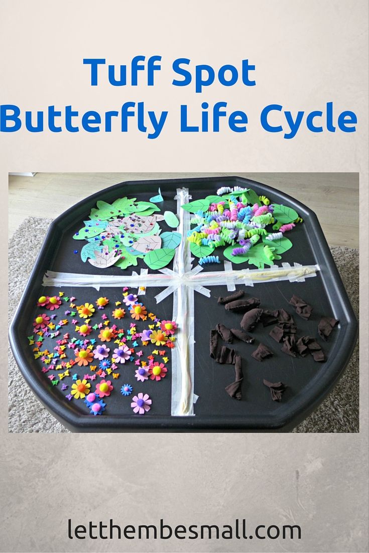 a tray filled with different types of flowers and butterflies on top of a cement floor