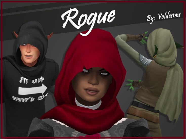 two people wearing hoods and scarves with the caption rogue by vollims