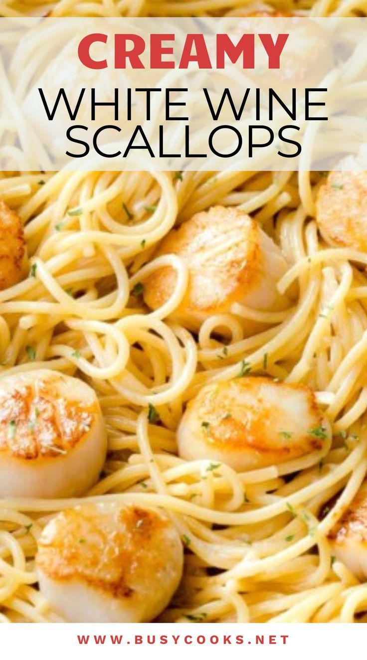 Creamy White Wine Scallops Pasta. Scallop Spaghetti In White Wine Sauce, White Wine Scallops Pasta, Scallops White Wine Butter Sauce, White Wine Salmon Recipes, Seafood Pasta White Wine Garlic Butter, White Wine Pasta Recipes, Pasta With White Wine Sauce, Scallop Pasta Recipe, Scallops And Pasta