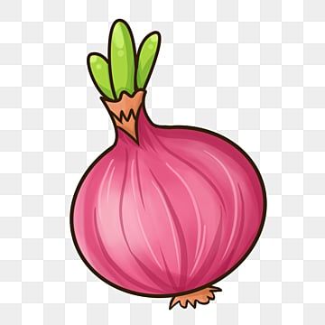 a pink onion with green leaves on the top and bottom, as if it were an onion