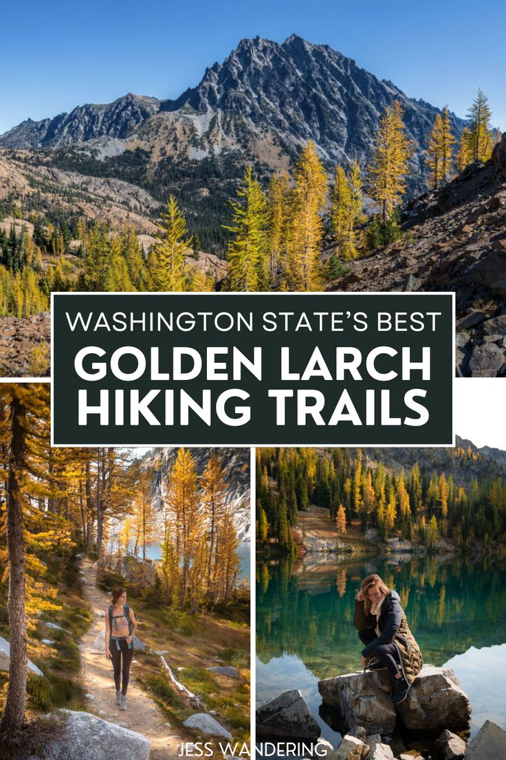 the washington state's best golden larch hiking trails with text overlay that reads, washington state's best golden larch hiking trails