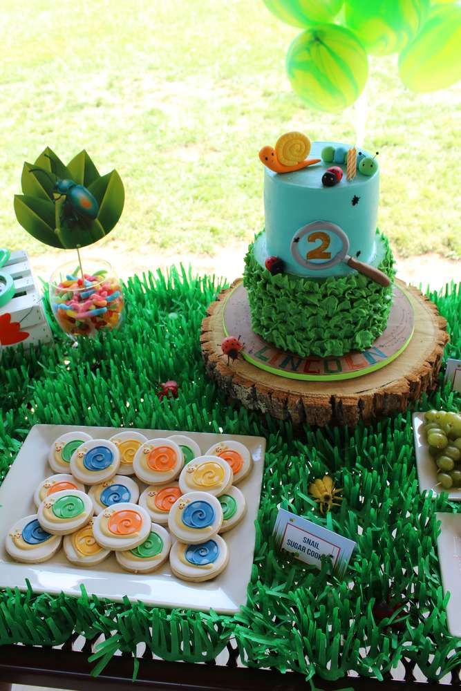 a table topped with lots of cakes and desserts on top of grass covered ground