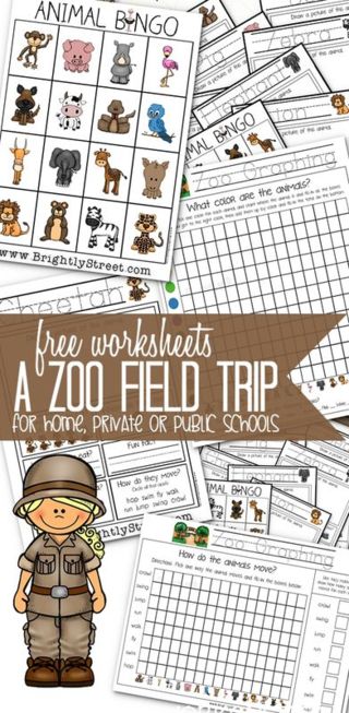 the zoo field trip worksheet for kids to practice their skills and help them learn how