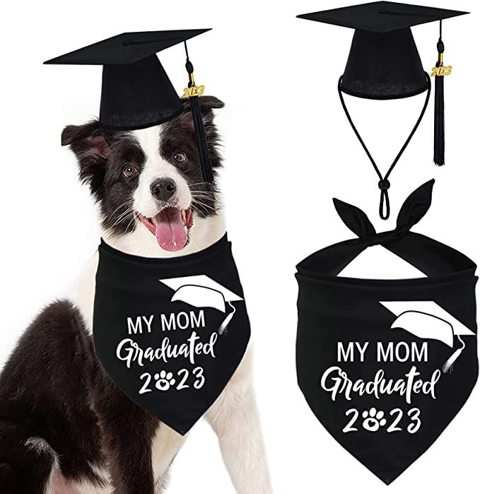 a black and white dog wearing a graduation bandana with the words my mom, i graduated