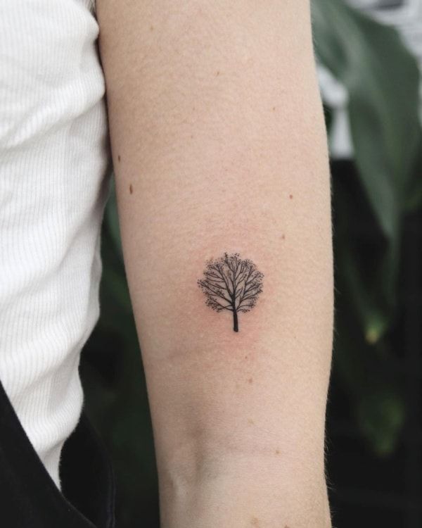 a small tree tattoo on the arm