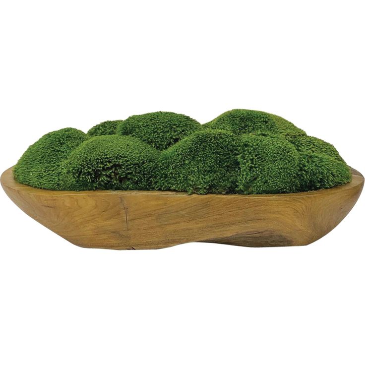 a wooden bowl filled with lots of green moss